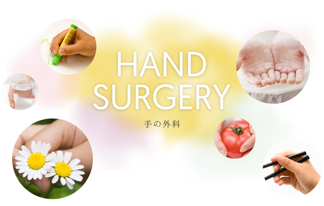 手の外科（Hand Surgery）